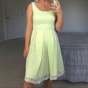 Tahari Dress